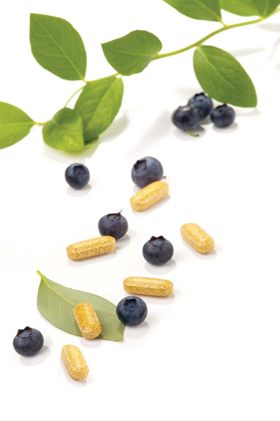 Fresh Clips Natural Remedies for Varicose Veins Mother Earth Living